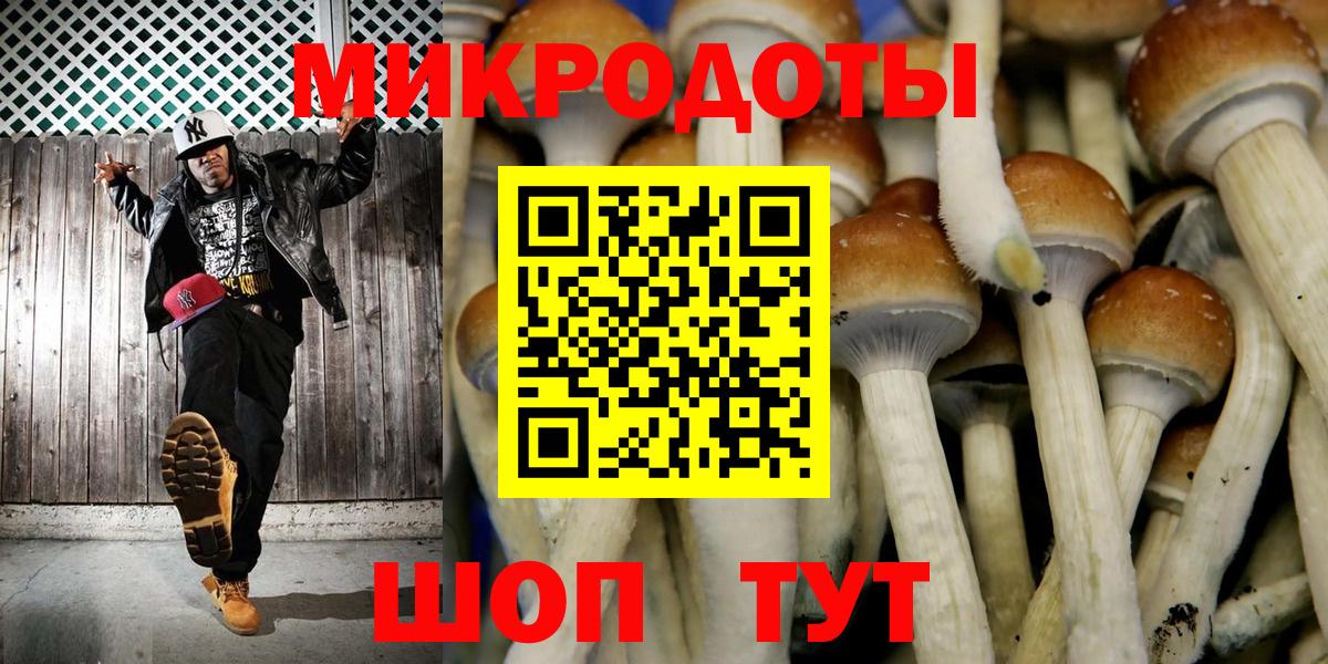 Верхняя Пышма  наркота  Вход с VPN  Галлюциногенные грибы Cubensis 